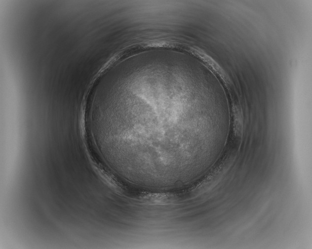 X0000114620482200910201135
