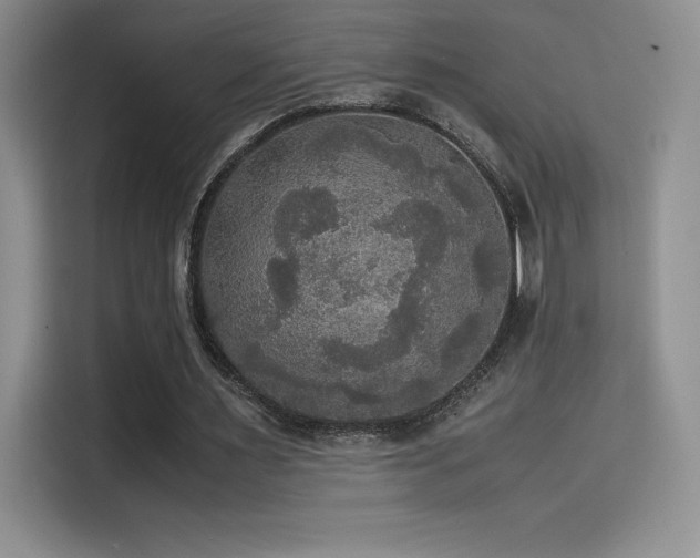 X0000114620483200910201135
