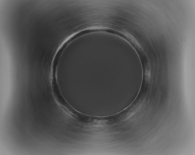 X0000114620484200910201135