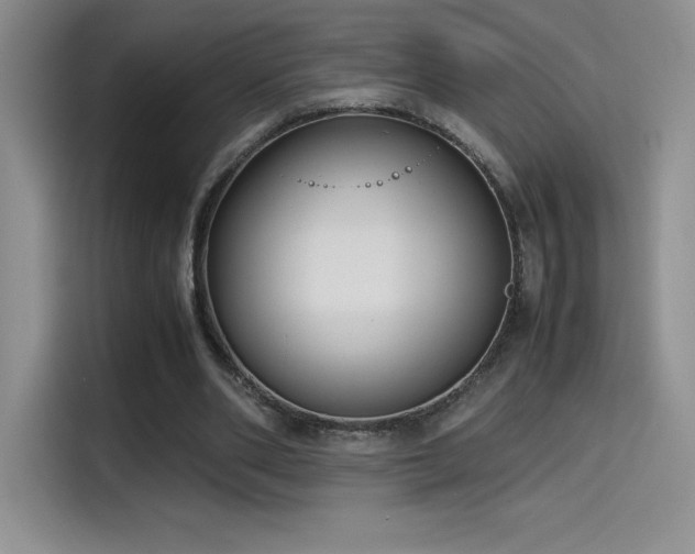 X0000114620486200910201135