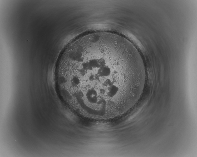 X0000114620487200910201135