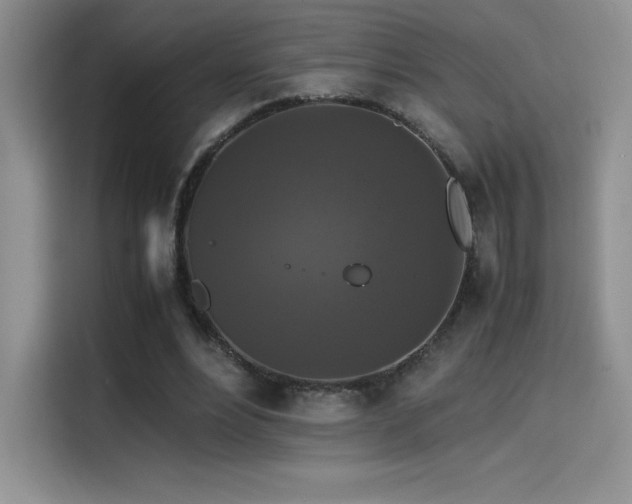 X0000114620488200910201135