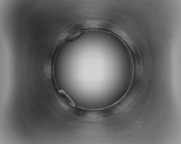 X0000114620489200910201135