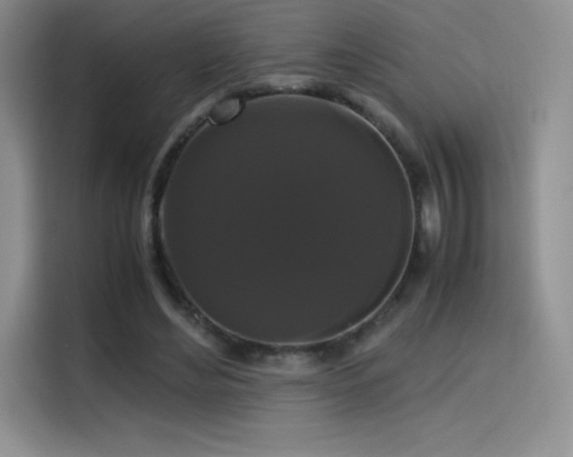 X0000114620492200910201135