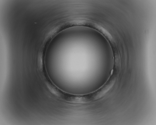 X0000114620493200910201135