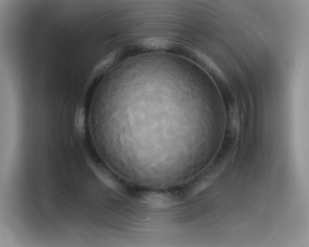 X0000114620494200910201135