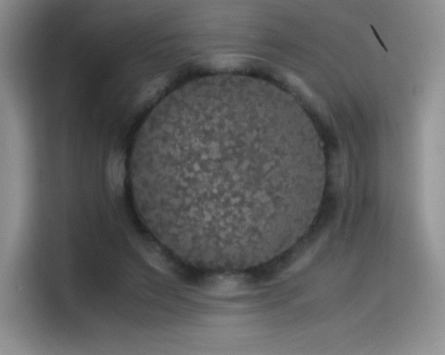 X0000114620495200910201135