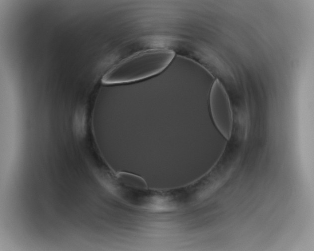 X0000114620496200910201135