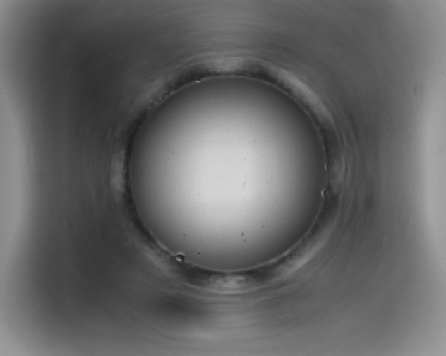 X0000114620497200910201135