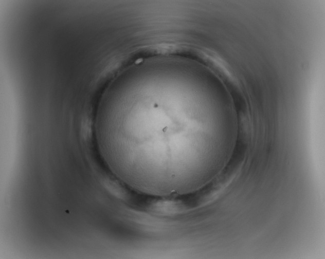 X0000114620499200910201135