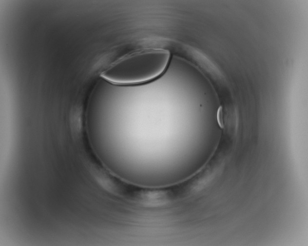 X0000114620501200910201135