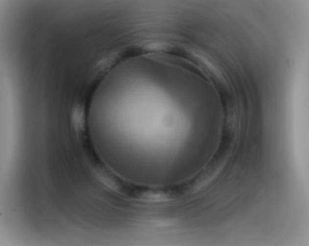 X0000114620502200910201135