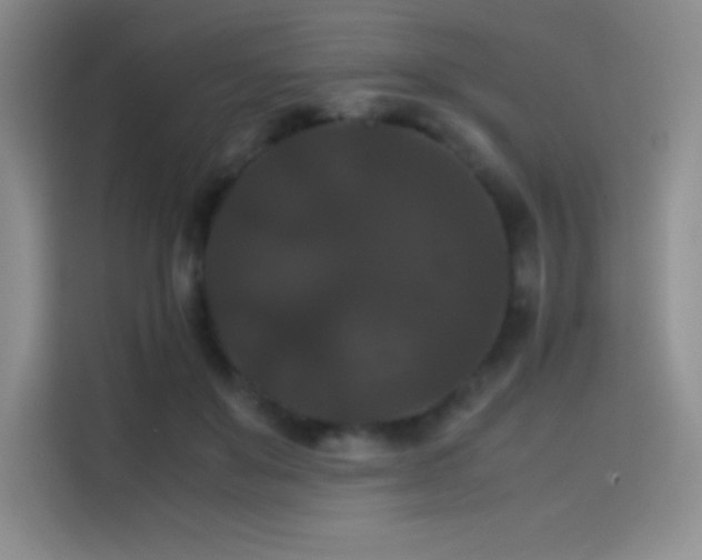 X0000114620503200910201135