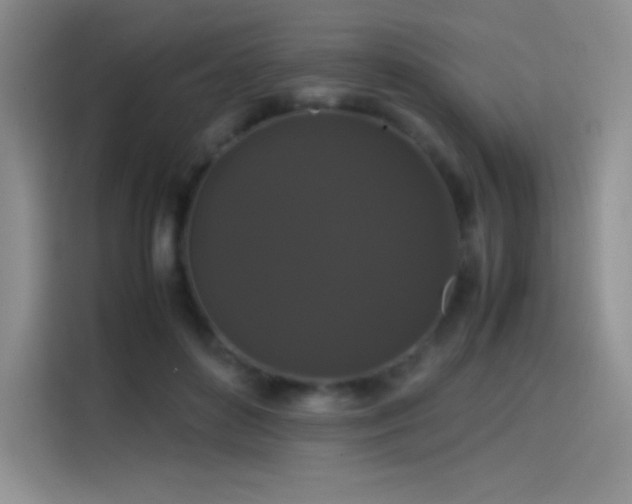 X0000114620504200910201135