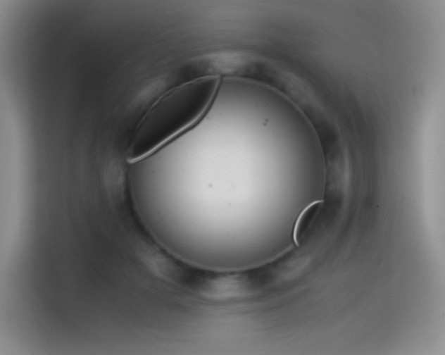 X0000114620505200910201135