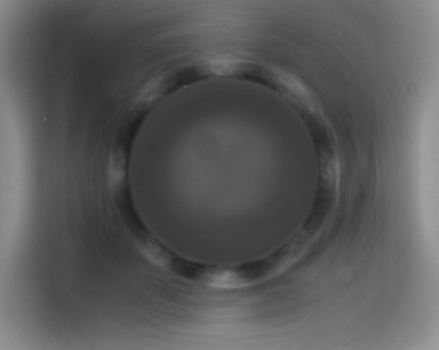 X0000114620507200910201135