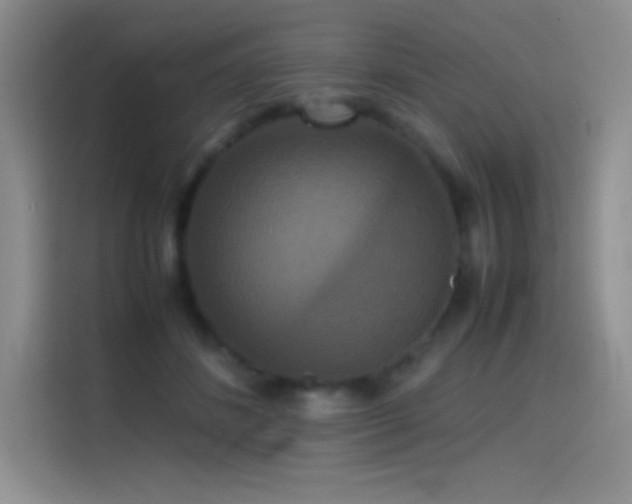 X0000114620508200910201135