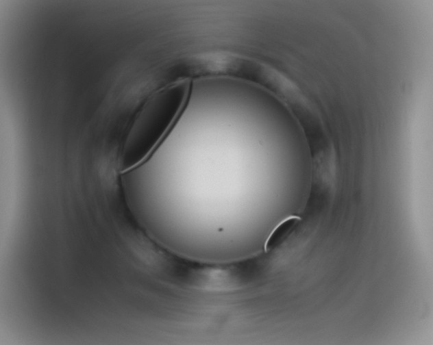 X0000114620509200910201135
