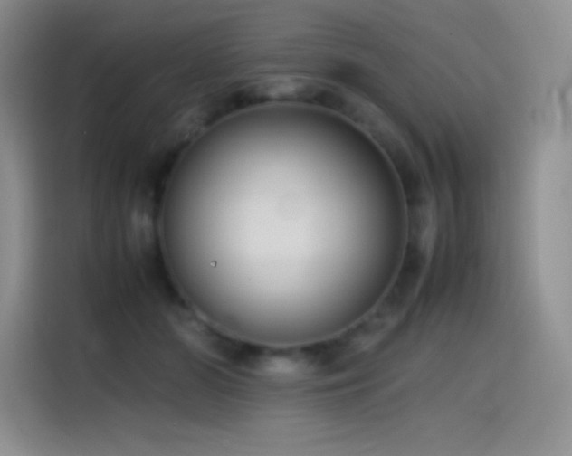 X0000114620510200910201135