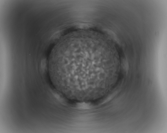 X0000114620511200910201135