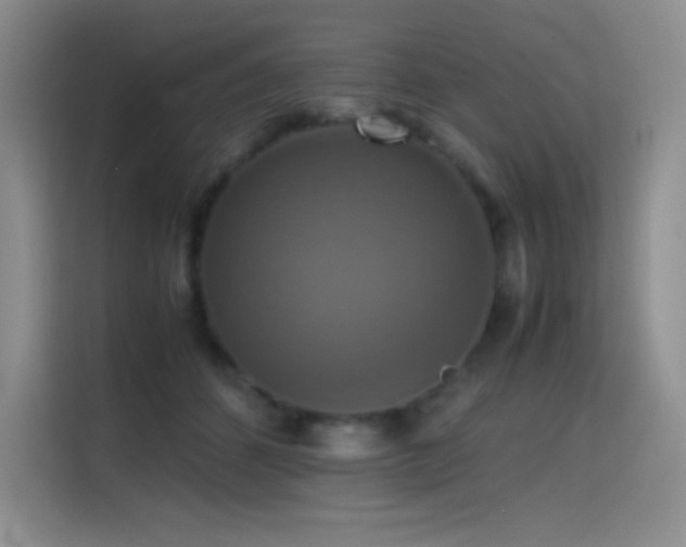 X0000114620512200910201135