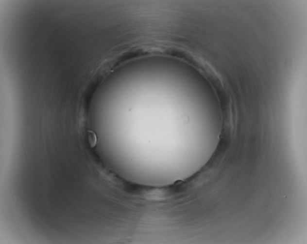 X0000114620513200910201135