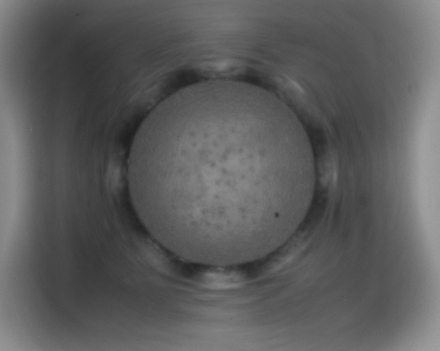 X0000114620515200910201135