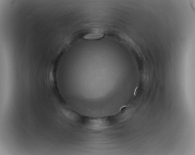 X0000114620516200910201135