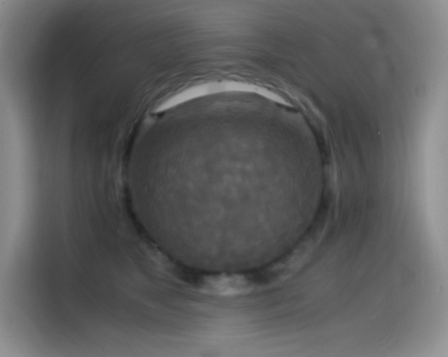 X0000114620517200910201135