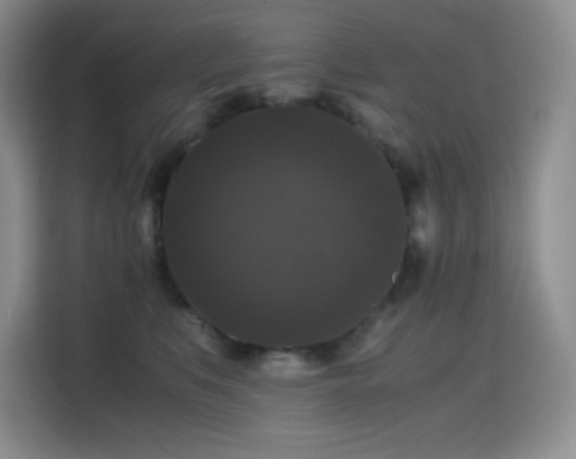 X0000114620519200910201135