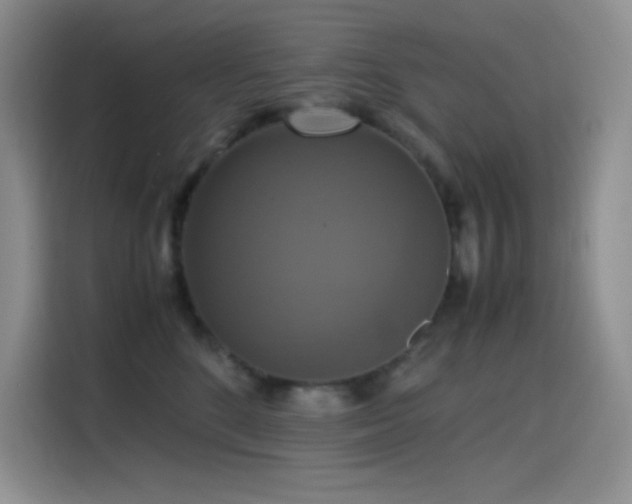 X0000114620520200910201135
