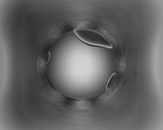 X0000114620521200910201135