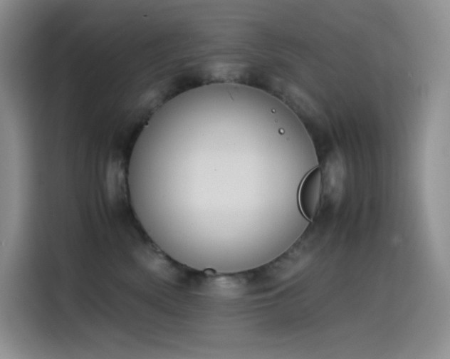 X0000114620522200910201135