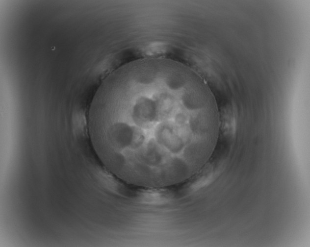 X0000114620523200910201135