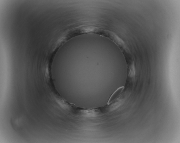 X0000114620524200910201135