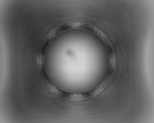 X0000114620525200910201135
