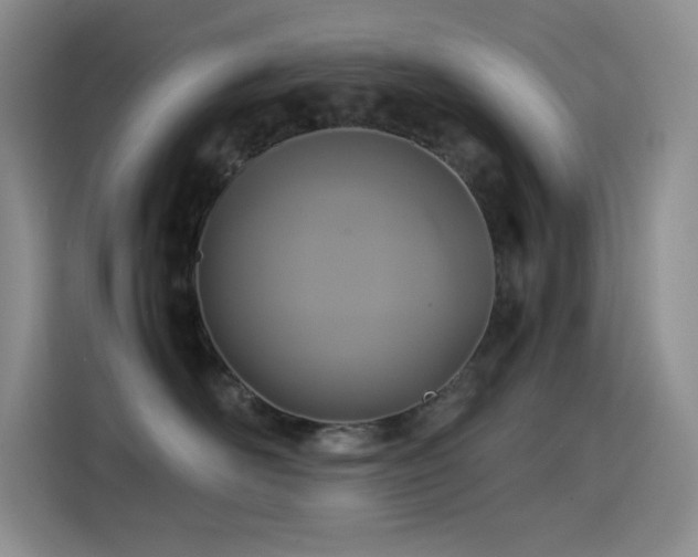 X0000114620526200910201135