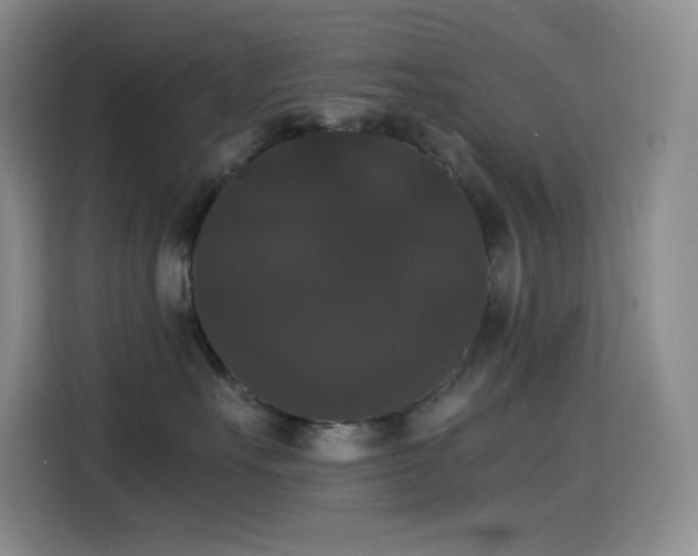 X0000114620527200910201135