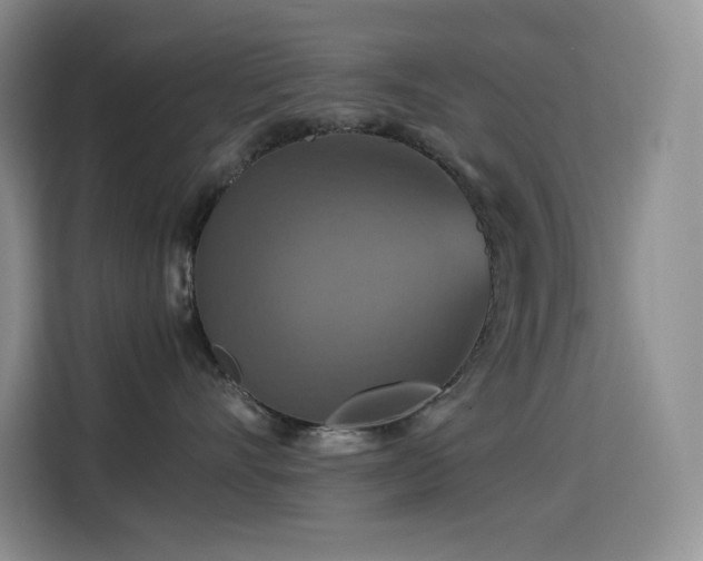 X0000114620528200910201135