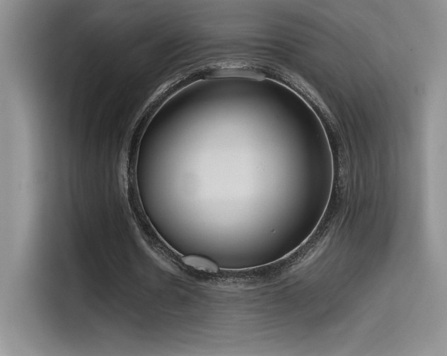 X0000114620530200910201134