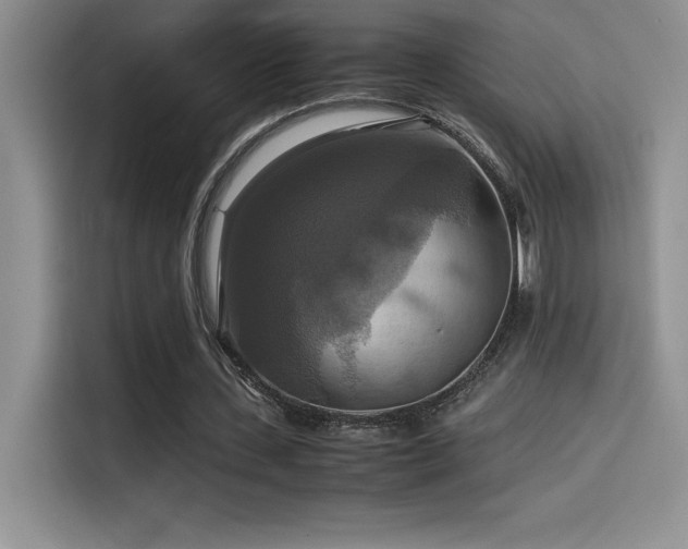 X0000114620531200910201134