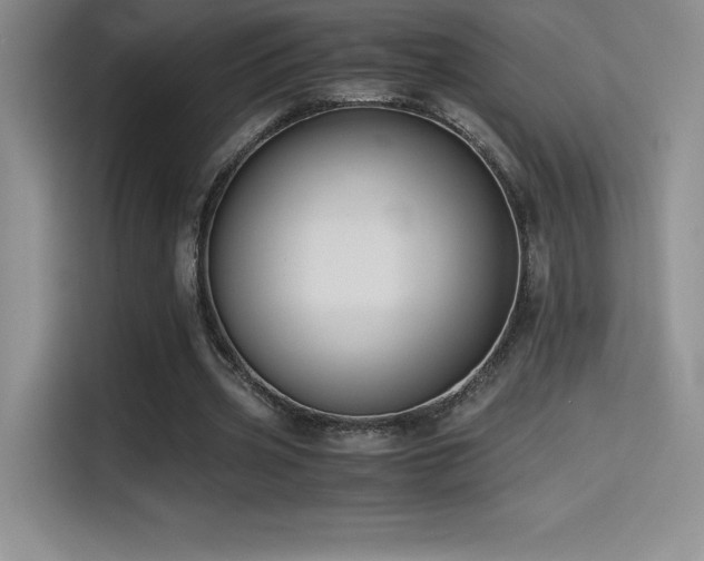 X0000114620533200910201134