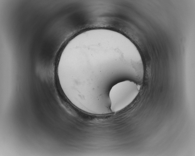 X0000114620534200910201134