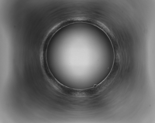 X0000114620535200910201134