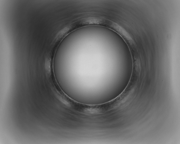 X0000114620537200910201134