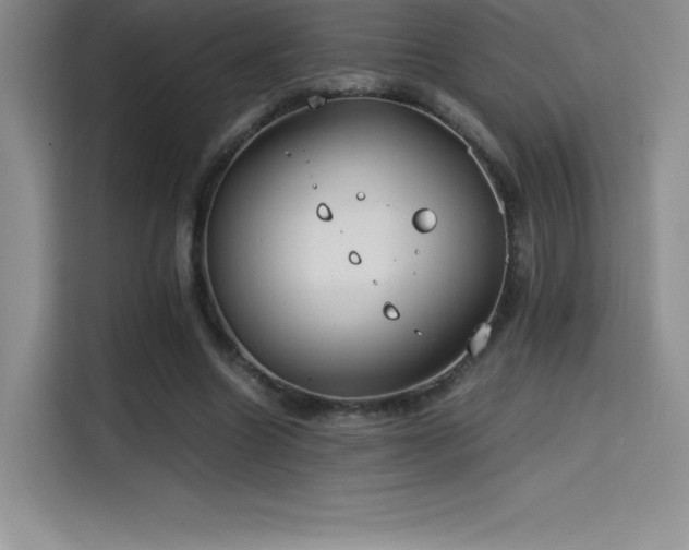 X0000114620538200910201134