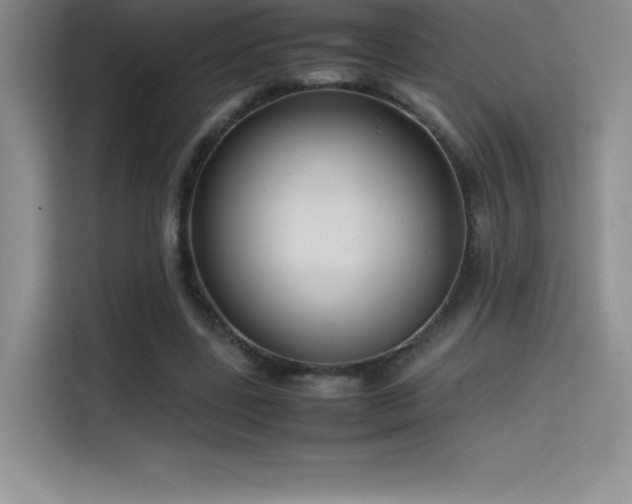 X0000114620539200910201134