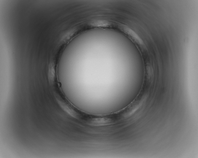 X0000114620541200910201134