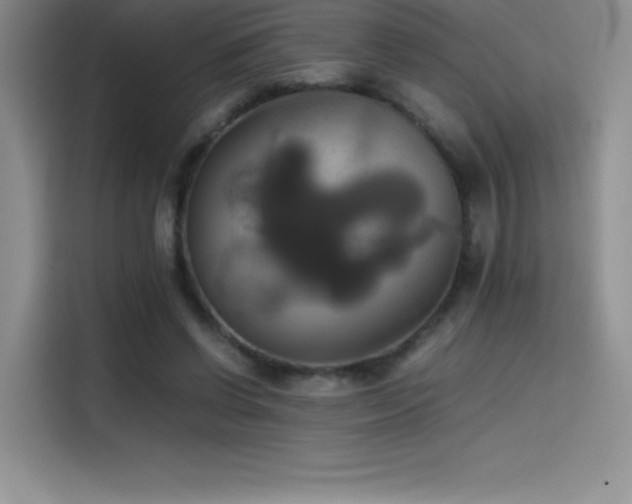 X0000114620542200910201134