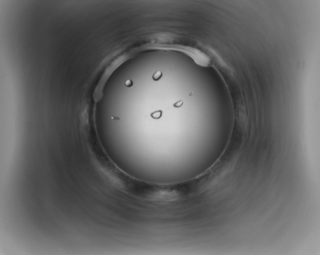 X0000114620543200910201134